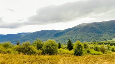 Bieszczady dağlarının güzel manzarası. Karpatlar. Doğanın güzelliği.