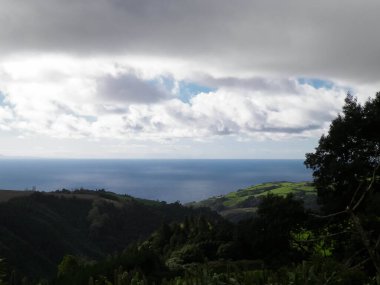 Tipik Azores manzarası. Arka planda doğal yeşil arazi tepeleri ve deniz. Doğanın güzelliği konsepti.