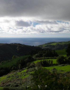 Tipik Azores manzarası. Arka planda doğal yeşil arazi tepeleri ve deniz. Doğanın güzelliği konsepti.