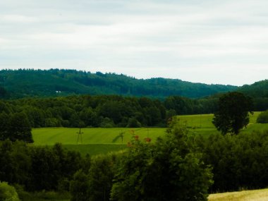 Wiezyca 'nın dağlık manzarası. Wiezyca, Polonya 'nın Kashubia bölgesinin dağlık bir parçasıdır..