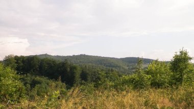 Wiezyca 'nın dağlık manzarası. Wiezyca, Polonya 'nın Kashubia bölgesinin dağlık pazarıdır..