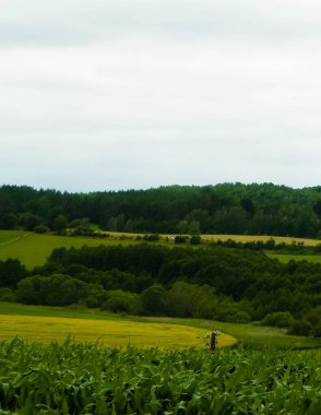 Fields and meadows of Wiezyca. Wiezyca is popular touristic region of Kashubia Region. Poland clipart