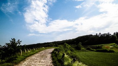Wiezyca, Polonya 'daki tarlaların içinden. Kashubia doğası - Kuzey Polonya 'nın güzel bölgesi.