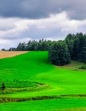 Fırtına geliyormuş. Kashubian çayırlarının üzerinde bulutlu bir gökyüzü. Saf doğa, Kuzey Polonya 'nın güzel manzarası. Pomeranya 'daki Kashyubia Bölgesi.