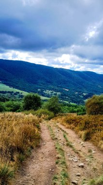 Dağın tepesinden Bieszczady 'nin güzel manzarası. Dağ turizmi.