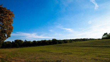 Yaz sonu - sonbahar ağaçları ve tarlalar. Polonya doğası. Mavi gökyüzündeki boşluğu kopyala. Mechelinki, Polonya.