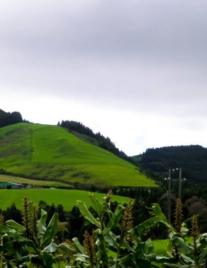 Sao Miguel Adası 'nın tipik manzarası. Yeşil tepeler ve yağmurlu hava. Azores 'in saf egzotik ve güzel doğası..