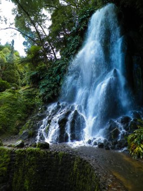 Tropikal ormanda şelale. Azores Takımadası. Sao Miguel Adası.