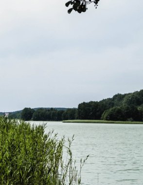 Landscape of Ostrzyckie Lake in Wiezyca, Kashubian region, Poland. Traveling concept. clipart