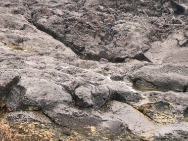 Doğal bir arka plan olarak kıyı kayaları. Boşluğu kopyala.