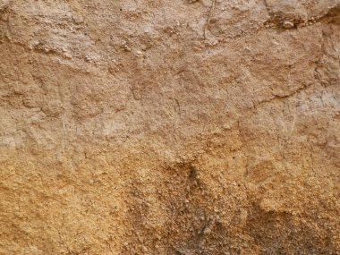 Toprak doğal bir arka plan. Boşluğu kopyala.