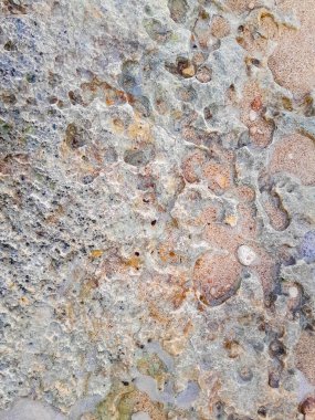 Doğal bir arka plan olarak kıyı kayaları ve deniz suyu. Boşluğu kopyala.