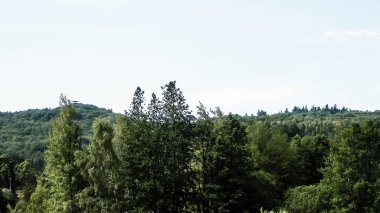 Wiezyca Dağı 'nın manzarası. Wiezyca, Kashubian bölgesindeki en yüksek dağdır. Seyahat ve keşif konsepti.