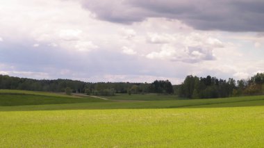 Kashubian Bölgesi, Wiezyca 'daki yeşil tarlalar ve tepeler. Wiezyca Polonya 'nın turistik bölgesidir.