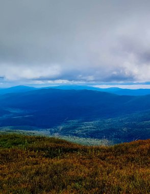 Bieszczady Dağları, Karpatian Dağları 'nın kuzey kesiminde yer alır. Doğanın güzelliği.