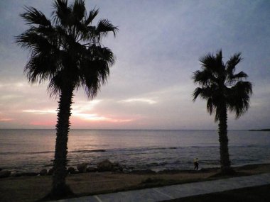 Akdeniz üzerinde gün batımı ya da gün doğumu. Avuçlar ve egzotik doğa.