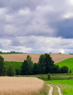 Fırtına geliyormuş. Kashubian çayırlarının üzerinde bulutlu bir gökyüzü. Saf doğa, Kuzey Polonya 'nın güzel manzarası. Pomeranya 'daki Kashyubia Bölgesi.