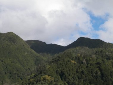 Sao Miguel Adası 'nda dağın tepesinde. Azores. Doğanın güzelliği.