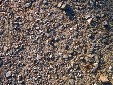 Ground and stones as a natural background. Copy space