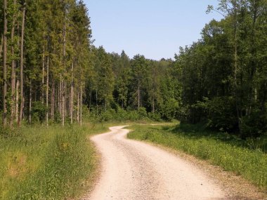 Kashubia 'da ormanın üzerindeki yol. Polonya. Kuzey Polonya 'nın güzel doğası.