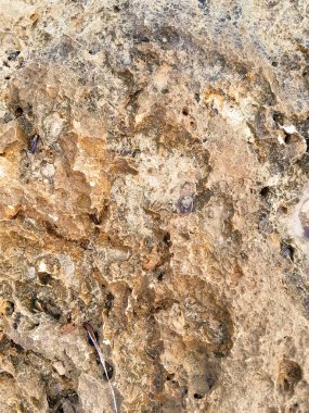 Doğal bir arka plan olarak kıyı kayaları ve deniz suyu. Boşluğu kopyala.