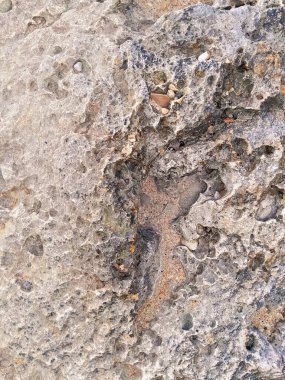 Doğal bir arka plan olarak kıyı kayaları ve deniz suyu. Boşluğu kopyala.