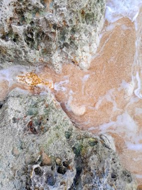 Doğal bir arka plan olarak kıyı kayaları ve deniz suyu. Boşluğu kopyala.