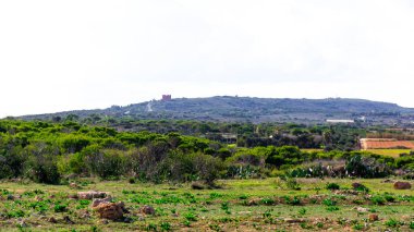 Marfa Yarımadası Malta 'da doğa 2000 bölgesi. Bu güzel adadaki tek yeşil ve ormanlık alan..