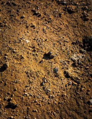 Doğal bir arka plan olarak çöl arazisi. Boşluğu kopyala.