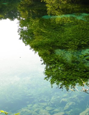 Makedonya 'nın Black Drim Nehri' nin güzel, şeffaf suları. Balkan doğası.