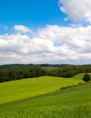 Yazın Kashubia 'nın inanılmaz doğası. Yeşil tarlalar, tepeler ve çayırlar.