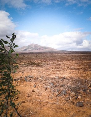 Çöl ve dağlar Lanzarote adasının tipik bir manzarasıdır. Kanarya Adaları takımadaları.