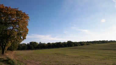 Yaz sonu - sonbahar ağaçları ve tarlalar. Polonya doğası. Mavi gökyüzündeki boşluğu kopyala. Mechelinki, Polonya.