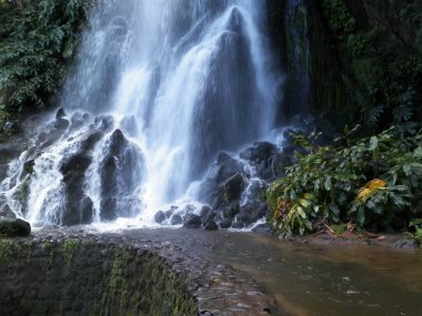 Sao Miguel 'de güzel bir şelale. Doğanın güzelliği.