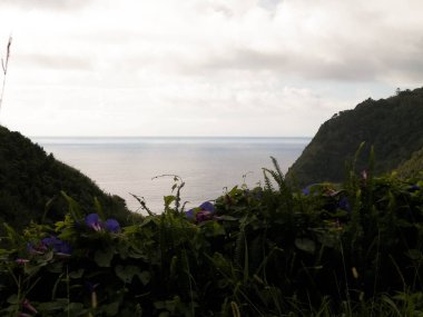 Azores, Sao Miguel adasındaki Faial Da Terra küçük köyünün güzel manzarası. Seyahat ve doğa kavramı.
