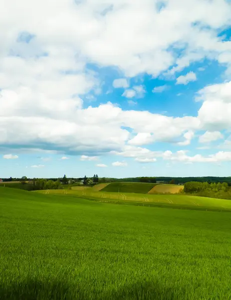 Kashubia bölgesindeki yeşil alanlar, Kuzey Polonya. Bulutlu bir gün, seyahat ve doğa konsepti.