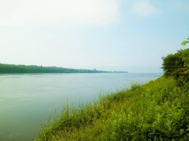 Vistula 'nın haliçleri Sobieszewska adasından görüldü. Kuzey Polonya 'nın doğası.