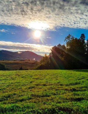 Polonya 'nın Bieszczady Dağları' ndaki yeşil çayır. Kuzey Karpatça.