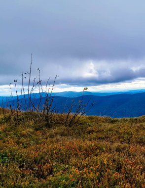 Bieszczady Dağları, Karpatian Dağları 'nın kuzey kesiminde yer alır. Doğanın güzelliği.