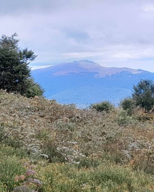 Dağın tepesinden Karpatların güzel manzarası. Doğanın güzelliği.