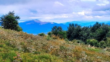 Dağın tepesinden Karpatların güzel manzarası. Doğanın güzelliği.