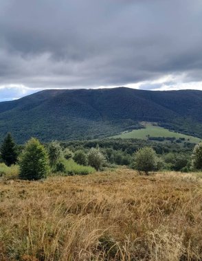 Bieszczady dağlarının güzel manzarası. Karpatlar. Doğanın güzelliği.