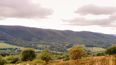 Bieszczady Dağları, Karpatian Dağları 'nın kuzey kesiminde yer alır. Doğanın güzelliği.