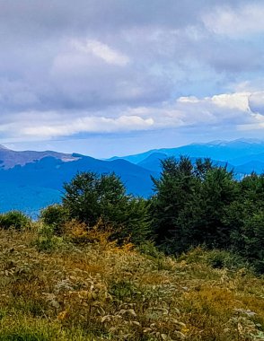 Dağın tepesinden Karpatların güzel manzarası. Doğanın güzelliği.