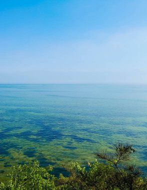 Polonya 'daki Pucka Körfezi' nin temiz su manzarası çok güzel. Pucka Körfezi 'nin doğal koşulları biliniyor. Temiz su ve güzel manzaralar..