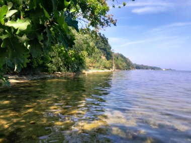 Oslonino yakınlarındaki Pucka Körfezi 'nin kıyı bölgesi. Polonya saf doğa.