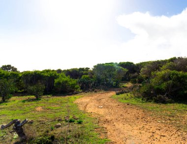 Marfa Yarımadası Malta 'da doğa 2000 bölgesi. Bu güzel adadaki tek yeşil ve ormanlık alan..