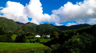Sao Miguel Adası 'nda dağın tepesinde. Azores. Doğanın güzelliği.