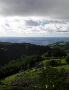 Tipik Azores manzarası. Arka planda doğal yeşil arazi tepeleri ve deniz. Doğanın güzelliği konsepti.