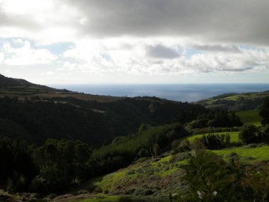 Tipik Azores manzarası. Arka planda doğal yeşil arazi tepeleri ve deniz. Doğanın güzelliği konsepti.